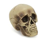 DEGUISE TOI - Décoration crâne plastique 18 cm - 1 Crâne - Taille Unique - Marron - Decoration/Animation - Plastique - - Halloween