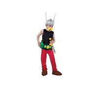 Déguisement Astérix : Taille 5/6 ans - 5/6 ans (110 à 116 cm) Chaks Multicolore G