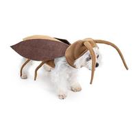 Déguisement Chat Cafard | Kit de Création de Cape Amusante pour Chaton,Accessoires Vestimentaires Réalistes Respirants pour Déguisement Cosplay Chaton et Chien pour Fêtes Anniversaires et