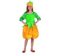 Déguisement citrouille fille âge 3-4 ans