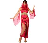 Déguisement De Danseuse Arabe Pour Femmes (Taille Xl) Multicolore