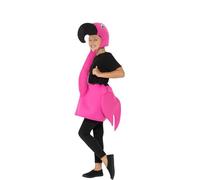 Déguisement De Flamenco Rose Pour Enfants (Taille 10-12a) Multicolore