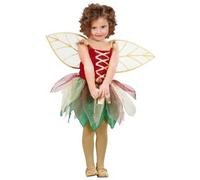 Déguisement Fée Fantasy - 3/4 Ans Multicolore