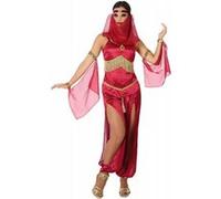 Déguisement Femme Jasmine Rose Rose