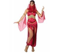 Déguisement Femme Jasmine Rose XL