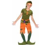 Déguisement Lutin Garçon Vert G