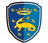 Déguisement Papo Bouclier Salamandre Multicolore G