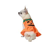 déguisement pour chien Citrouille Taille S