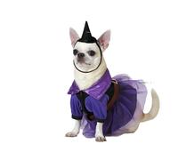 déguisement pour chien Sorcière Taille M