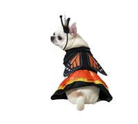 déguisement pour chien Taille M Papillon