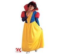 Déguisement princesse conte de fée 11/13 ans Multicolore