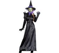 Boland – Déguisement Sorcière Corbeau pour Adultes – Set pour Halloween, Carnaval et Fête à thème