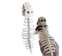 Déguisement Squelette de Dinosaure | Accessoire Cosplay Crâne Dinosaure Effet Sonore pour Halloween | Accessoires de Rôle pour Événements à Thème Spectacles Fêtes Cosplay et Soirées Halloween