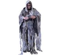 déguisement ténèbreux esprit du vent homme - l - gris - guirca 80445 Gris G