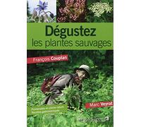 Dégustez les plantes sauvages