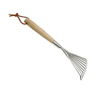 Dehner Balai avec Manche en Bois, env. 50 x 8 cm, Acier Inoxydable/Bois