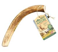 Dehner Best Nature Friandises pour Chien, friandises de qualité supérieure à Faible Odeur / 100% Naturel, à mâcher pour Chien, Bois de cerf Rouge, Taille L