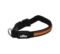 Dehner Collier pour Chien à LED Flash Collar, Longueur 41 cm, Hauteur 2,5 cm, Maille Filet Noir/Orange