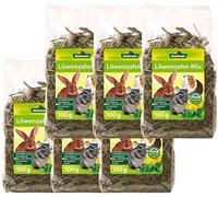 Dehner Nagersnack - Nourriture pour rongeurs - 100% Naturel - pour Lapin/Rongeurs - Pissenlit avec Foin/Menthe poivrée/Mélisse - 6x100g (600g)