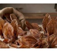 DEI NATURE Oreilles de bovin séchées, lot de 24 unités de collation naturelle de boeuf pour chiens, convient régime Barf