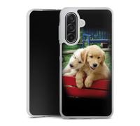 DeinDesign Coque en Silicone Compatible avec Samsung Galaxy A17 Etui Silicone Coque Souple Chien Golden Retriever Chiot