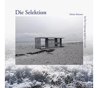 Deine Stimme Ist Der Ursprung Jeglicher Gewalt