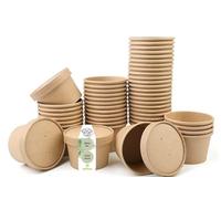 DeinPack 250 gobelets à soupe à emporter avec couvercle marron 230 ml 8oz avec revêtement intérieur gobelets à soupe 250 gobelets jetables bio avec couvercle | gobelets à glace avec couvercle