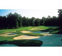 Déjeuner : entrée + plat + dessert suivi de 2 h d’initiation au golf pour 2 pers.