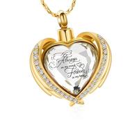DEKKRYNFV Collier tendance en acier inoxydable avec pendentif en forme de cœur pour stocker les cendres d'animaux de compagnie, cadeau élégant pour les propriétaires d'animaux de compagnie
