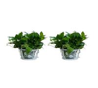 DEKKRYNFV Lot de 2 étagères en métal pour plantes - Économie d'espace - Pour intérieur et extérieur - Motif de volutes - Compactes - Étagère de jardinage en métal