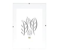 Deknudt Frames Cadre Sous Verre Synthétique Photo 70x100cm S200K9