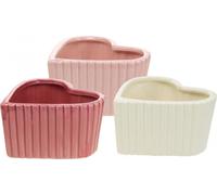 Deko Coeur Céramique Blanc Rose, Mini Plante 6cm, Set de 3