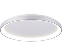 Deko Light Merope Luminaire de plafond en saillie LED intégrée 42 W blanc chaud, blanc neutre argent