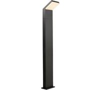 Deko Light Tucanae 733069 Lampadaire extérieur LED LED intégrée 18 W CEE: F (A - G) gris foncé