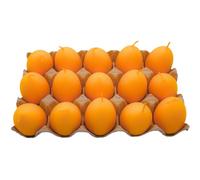 Dekohelden24 Lot de 15 bougies œufs de Pâques - Couleur unie - Jaune - Dimensions H x Ø 6,5 x 4 cm
