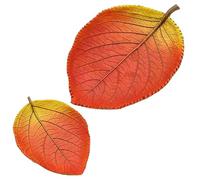 Dekohelden24 Lot de 2 coupes décoratives en forme de feuille d'automne, dimensions (L x l x H) : 25 x 13 x 7 cm et 16,5 x 12 x 2,5 cm, ovale