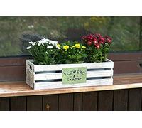 Dekoleidenschaft Lot de 3 pots de fleurs dans une boîte en bois au look shabby - Blanc - Pot à herbes aromatiques - Pot de fleurs en zinc - Décoration de jardin pour l'extérieur