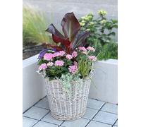 Dekoleidenschaft Panier à Fleurs Rustique - Diamètre : 45 x 40 cm - en rotin - Rond - Gris