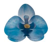 Dekora - Boîte de 10 Gaufrettes Orchidées pour Décoration - Fleurs Comestibles pour Gâteaux - Gaufrettes Décoration de Gâteaux d'Anniversaire - Couleur Bleu - 7,5 x 8,5 cm