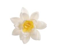dekora - Fleurs Comestibles pour Gâteau, 10 Marguerites en Azyme, 7 cm, sans sucre, sans gluten, sans lactose, Décoration Gâteau pour Anniversaire, Mariage, Baptême, Gender Reveal, Baby Shower