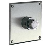 Delabie - Robinet temporise TEMPOSTOP encastre pour tout type d urinoir 15x21 avec plaque inox satine 160x160 Ref : 779427