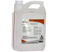 Delaisy Kargo 124044 Nettoyant moquette professionnel, 5 L