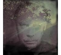 Delaney Davidson Shining Day (Vinyl) 12" Album
