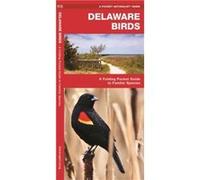 Delaware Birds A Folding Pocket Guide to Familiar Species by Illustrated by Dr Raymond Leung James Kavanagh James Kavanagh, Raymond Leung (Auteur)