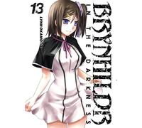 Delcourt Brynhildr in the darkness tome 13