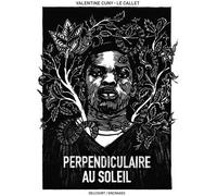DELCOURT Perpendiculaire au soleil
