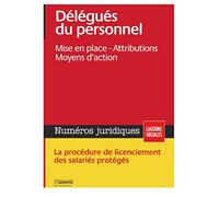Délégués du personnel : Mise en place, Attributions, Moyens d'action