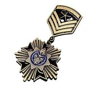 Delessed Badge historique Martial Pin Insigne de collection pour les amateurs d'histoire Collectionneurs Thème Événement Objet de collection historique, b, taille unique