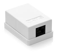 deleyCON 1x Prise Réseau CAT 6 1x Prise RJ45 Montage Mural Ethernet 1 Gbit LAN Câble de Brassage Câble D'installation RAL 9003 Blanc
