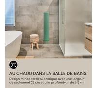 Delgado 120 x 25 radiateur sèche-serviettes tubulaire 508 W eau chaude 1/2